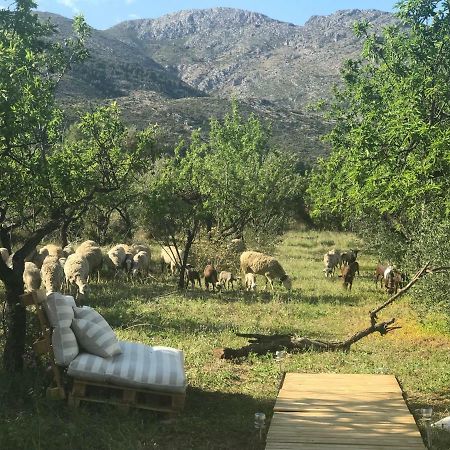 فيلا Orbaفي Casa La Plana المظهر الخارجي الصورة